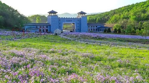 喜報！鳳城市大梨樹村再獲四項“國字號”榮譽